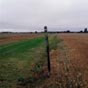 Le chemin avant Sainte-Catherine-de-Fierbois.